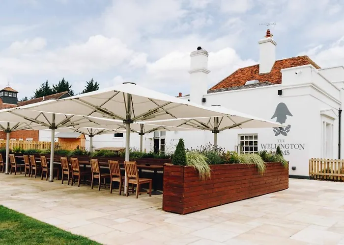 The Wellington Arms - Basingstoke-Reading